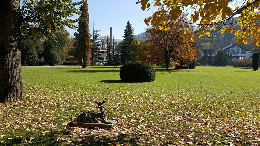 Hotel Royal Spa Banja Koviljaca Bagian luar foto