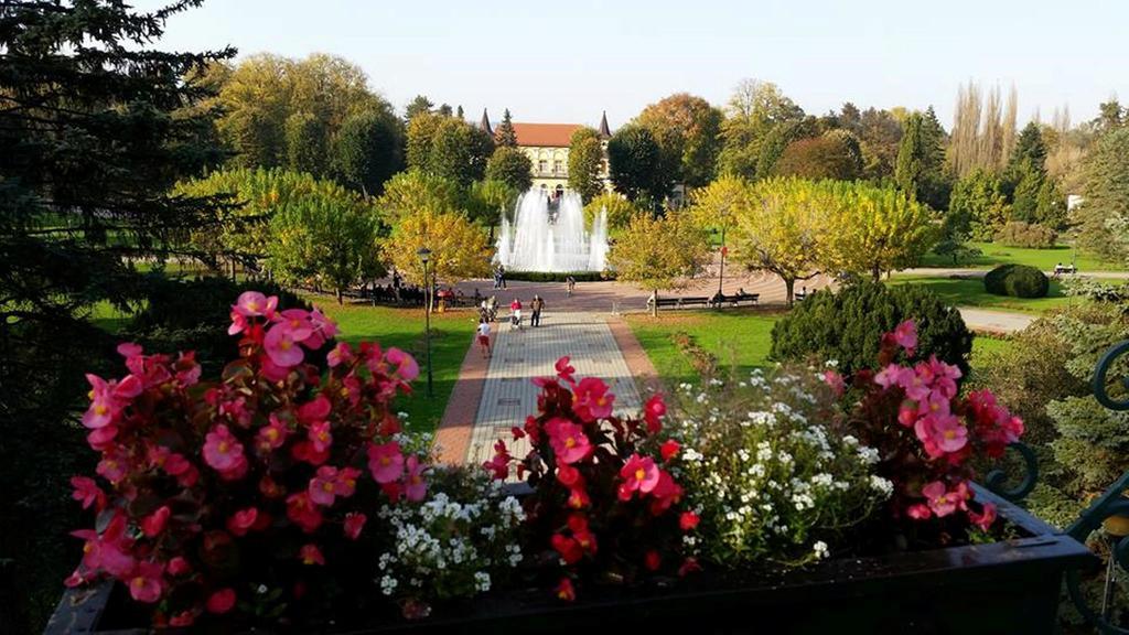 Hotel Royal Spa Banja Koviljaca Bagian luar foto