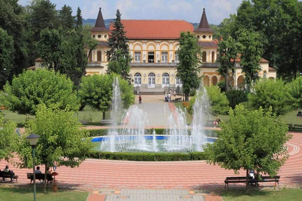Hotel Royal Spa Banja Koviljaca Bagian luar foto